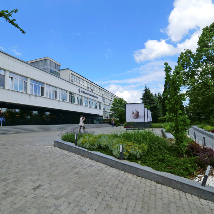 1333551_700x700_crop_478b24840a