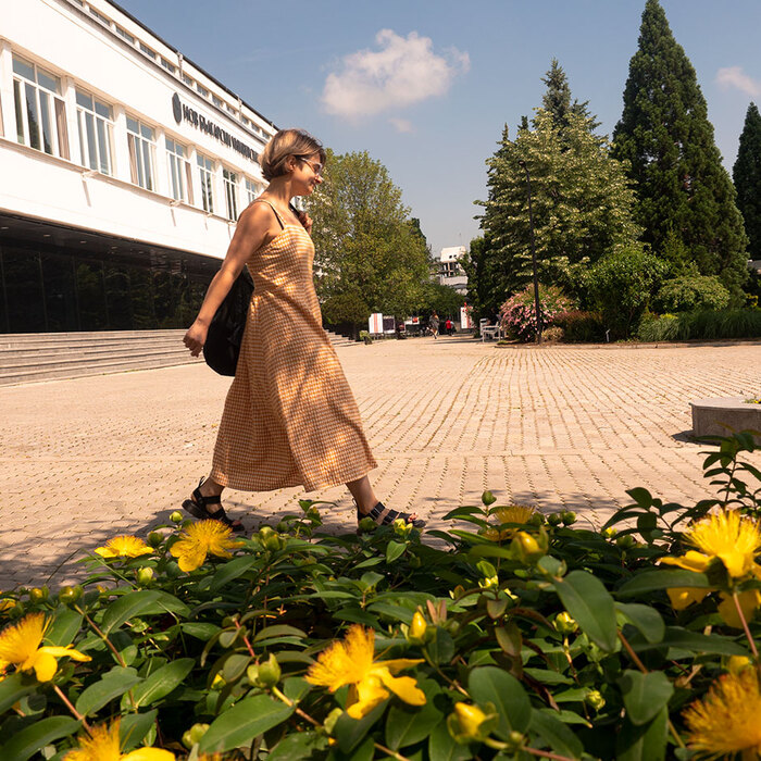 2588933_700x700_crop_478b24840a